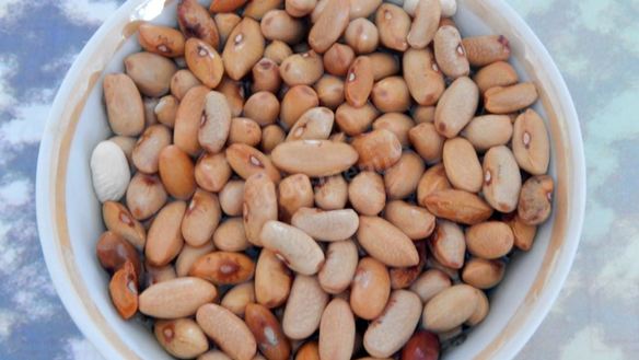 ШАГ 2. паштет из фасоли