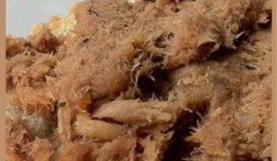 Рецепт паштет из консервированной рыбы