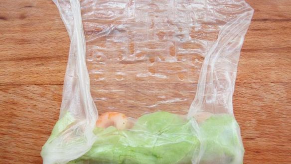 ШАГ 12. спринг-роллы с креветками