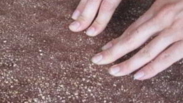 ШАГ 3. шоколадный рулет с грецкими орехами