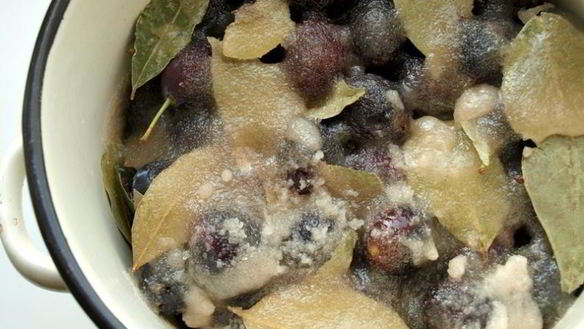 ШАГ 4. сладкие маринованные сливы