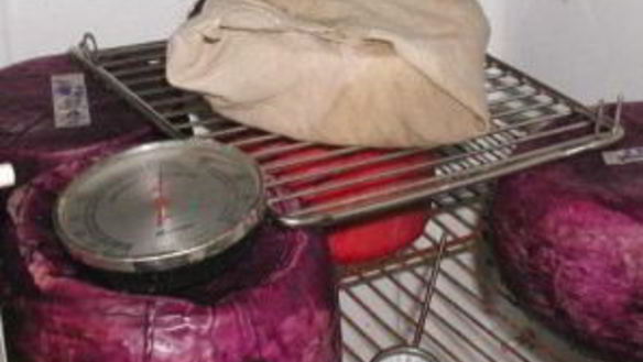 ШАГ 5. сыр блю