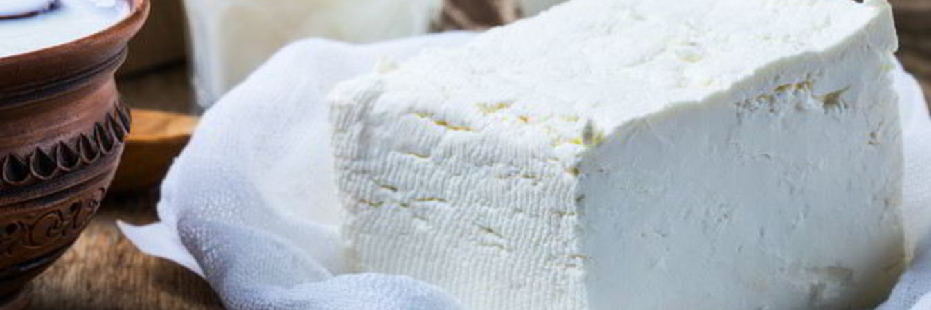 Сыр панир
