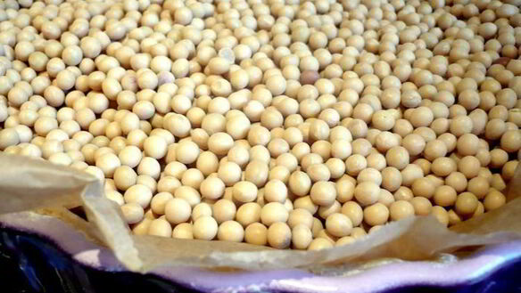 ШАГ 5. шоколадно-сливочный тарт только мысли все о нем и о нем